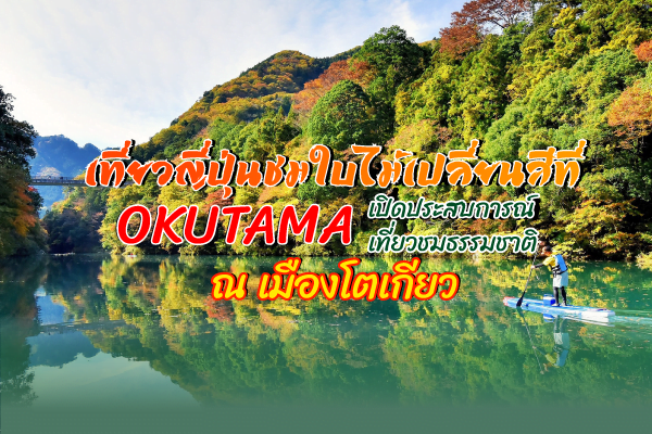 เที่ยวญี่ปุ่นชมใบไม้เปลี่ยนสีที่ OKUTAMA เปิดประสบการณ์เที่ยวชมธรรมชาติ ณ เมืองโตเกียว