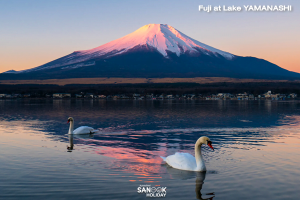 Fuji at Lake YAMANASHI