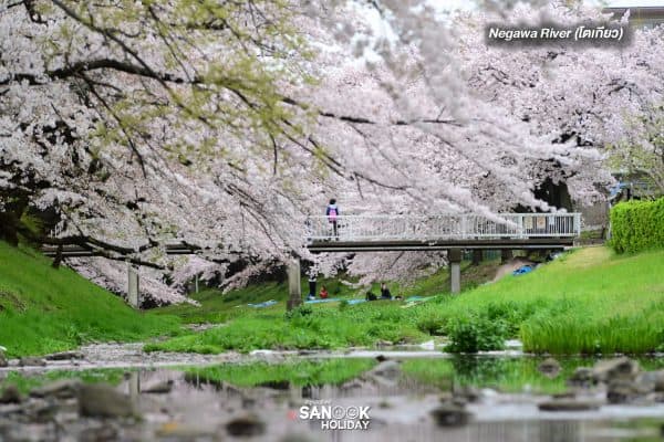 Negawa River (โตเกียว)