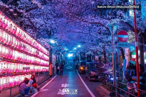 Sakura Street (Shibuya)(โตเกียว)