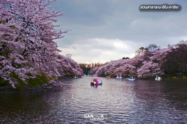 สวนสาธารณะอิโนะคาชิระ