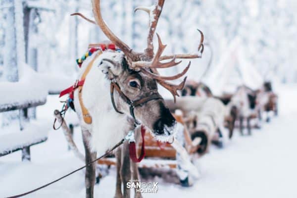 หมู่บ้านซานตาคลอส Santa Claus Village