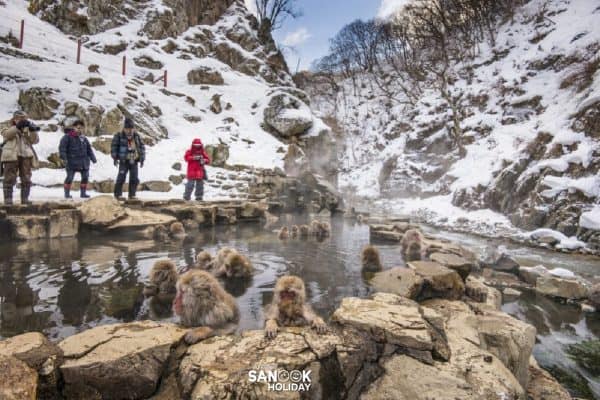 หุบเขานรกจิโกคุดานิ (Jigokudani)