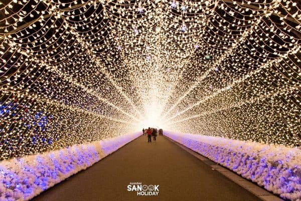 เทศกาลแสงสี Nabana no Sato Winter Illumination