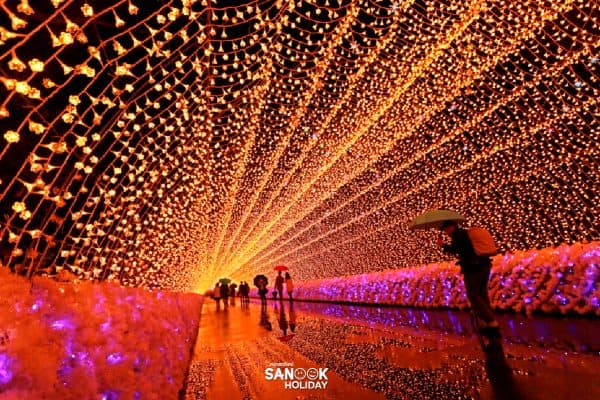 เทศกาลแสงสี Nabana no Sato