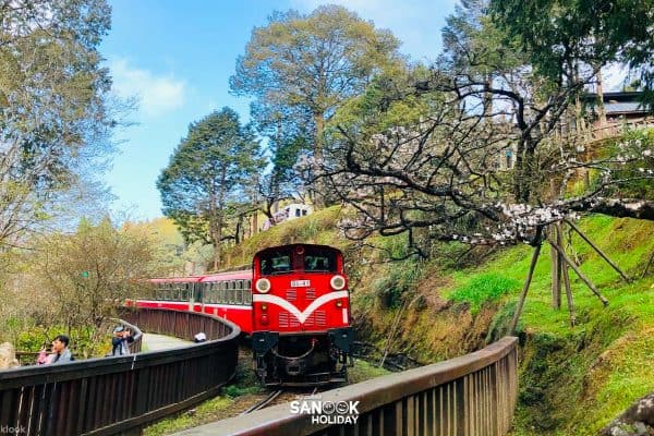 รถไฟสายอาลีซาน (Alishan Forest Railway)