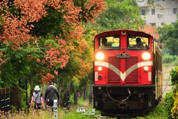 รถไฟสายอาลีซาน (Alishan Forest Railway)