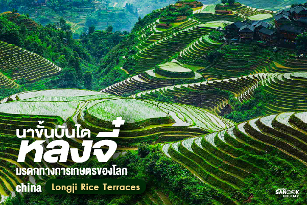นาขั้นบันไดหลงจี๋ (Longji Rice Terraces) มรดกทางการเกษตรของโลก