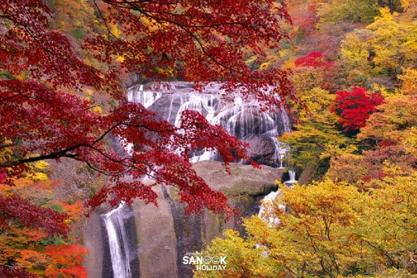 น้ำตกฟุคุโรดะ (Fukuroda Falls) 