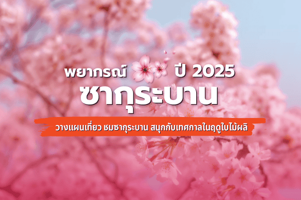 พยากรณ์ดอกซากุระบาน 2025