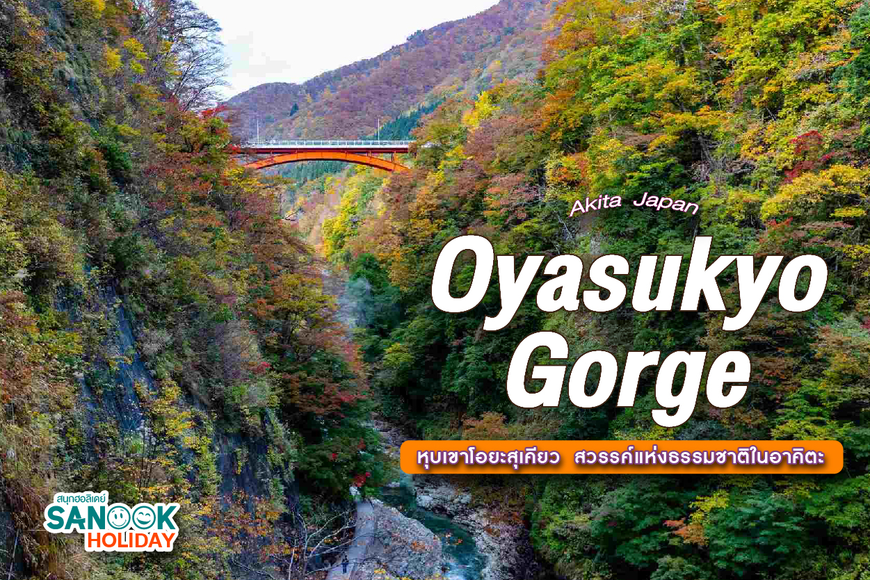 หุบเขาโอยะสุเคียว (Oyasukyo Gorge) สวรรค์แห่งธรรมชาติในอาคิตะ