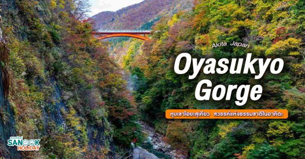 หุบเขาโอยะสุเคียว (Oyasukyo Gorge) สวรรค์แห่งธรรมชาติในอาคิตะ