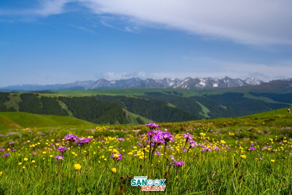 Kalajun Grassland