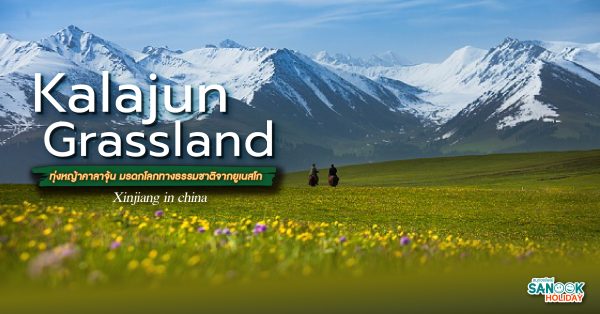 Kalajun Grassland ทุ่งหญ้าคาลาจุ้น