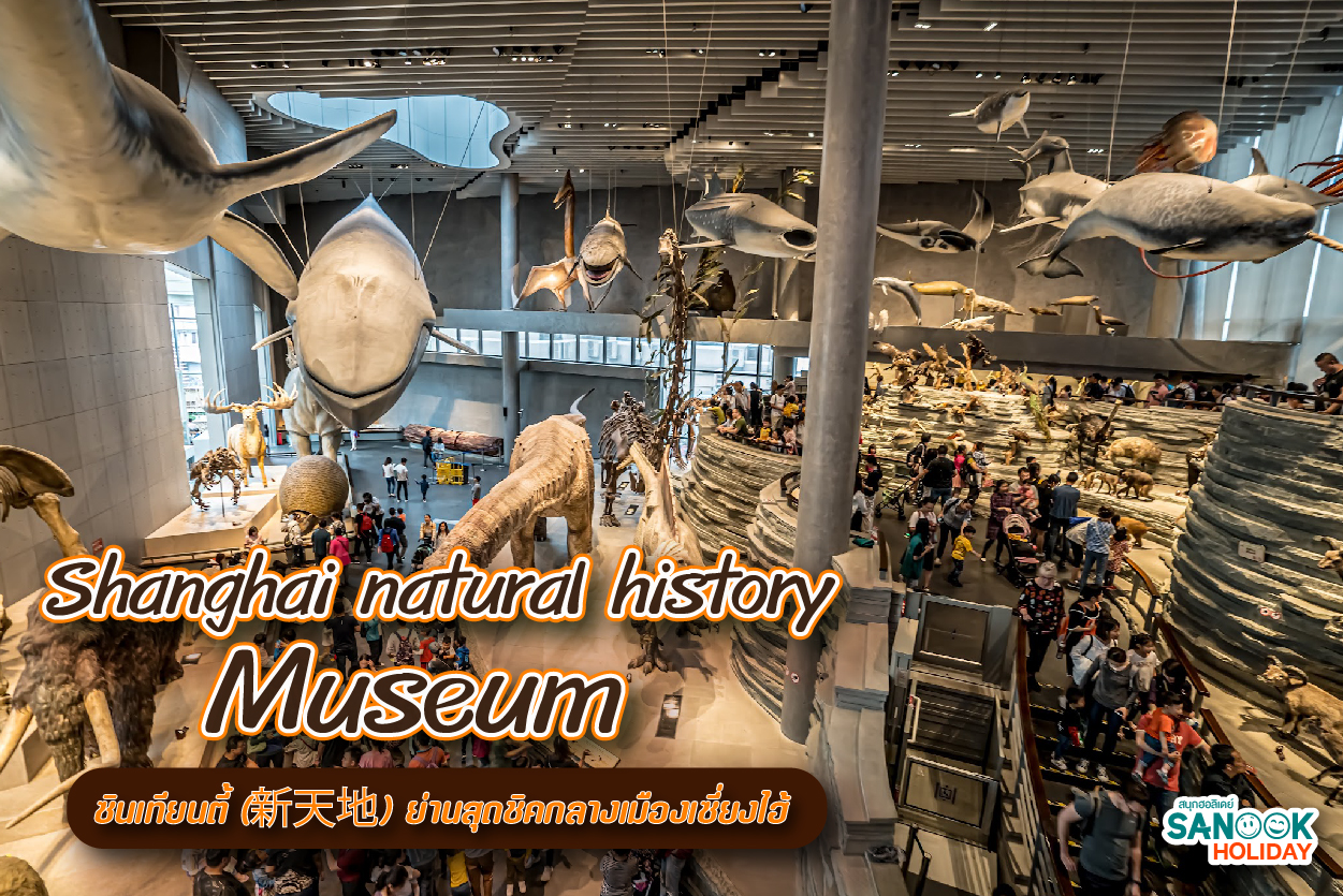 Shanghai natural history museum พิพิธภัณฑ์ประวัติศาสตร์ธรรมชาติเซี่ยงไฮ้