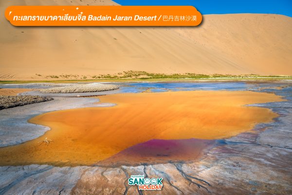 ทะเลทรายบาดาเลียนจิ๋ล