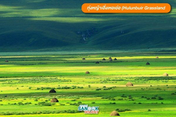 ทุ่งหญ้าเฮิ่งเหอเอ่อ
