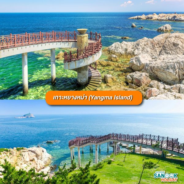 เกาะหยางหม่า (Yangma Island)