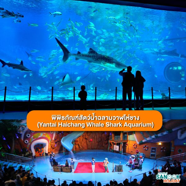 พิพิธภัณฑ์สัตว์น้ำฉลามวาฬไห่ชาง