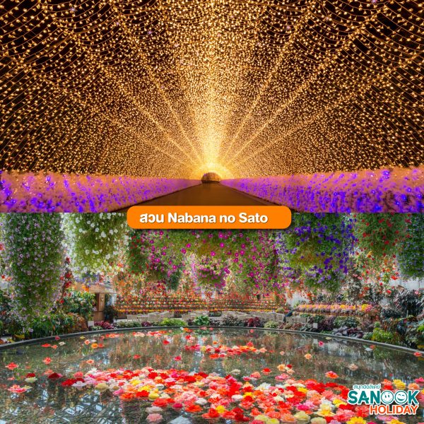 สวน Nabana no Sato