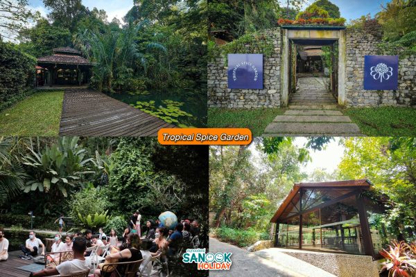 Tropical Spice Garden