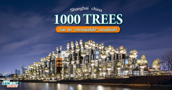 Tian An 1000 Trees