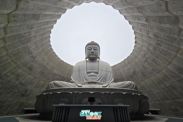 Hill of the Buddhaเนินเขาพระพุทธเจ้าทาดาโอะอันโดะ 