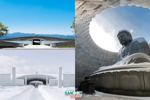 Hill of the Buddhaเนินเขาพระพุทธเจ้าทาดาโอะอันโดะ 